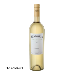 SAN PEDRO YACOCHUYA TORRONTES